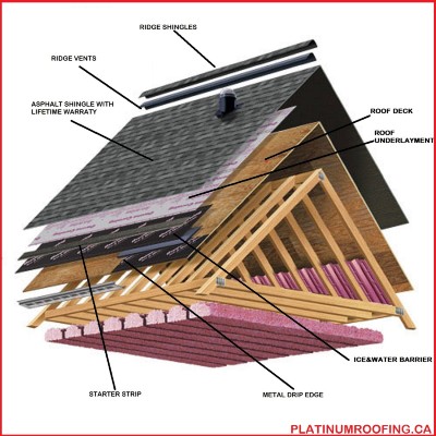 Asphalt Shingle Diagram 002 - Platinum Roofing.ca Ltd.